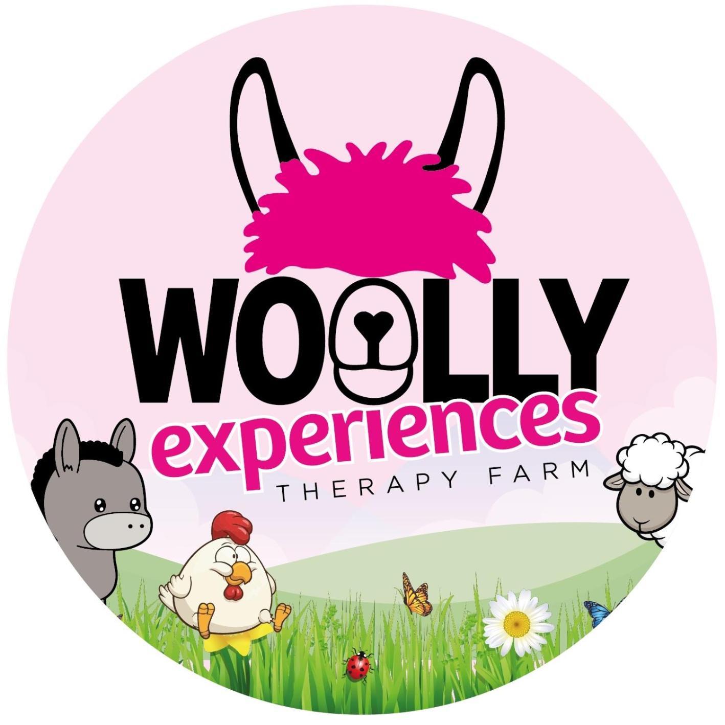 Unique Stay On An Alpaca Therapy Farm With Miniature Donkeys North Wales Mold Kültér fotó