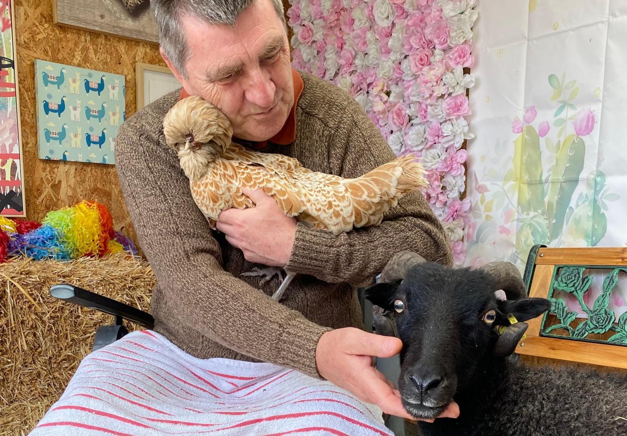 Unique Stay On An Alpaca Therapy Farm With Miniature Donkeys North Wales Mold Kültér fotó