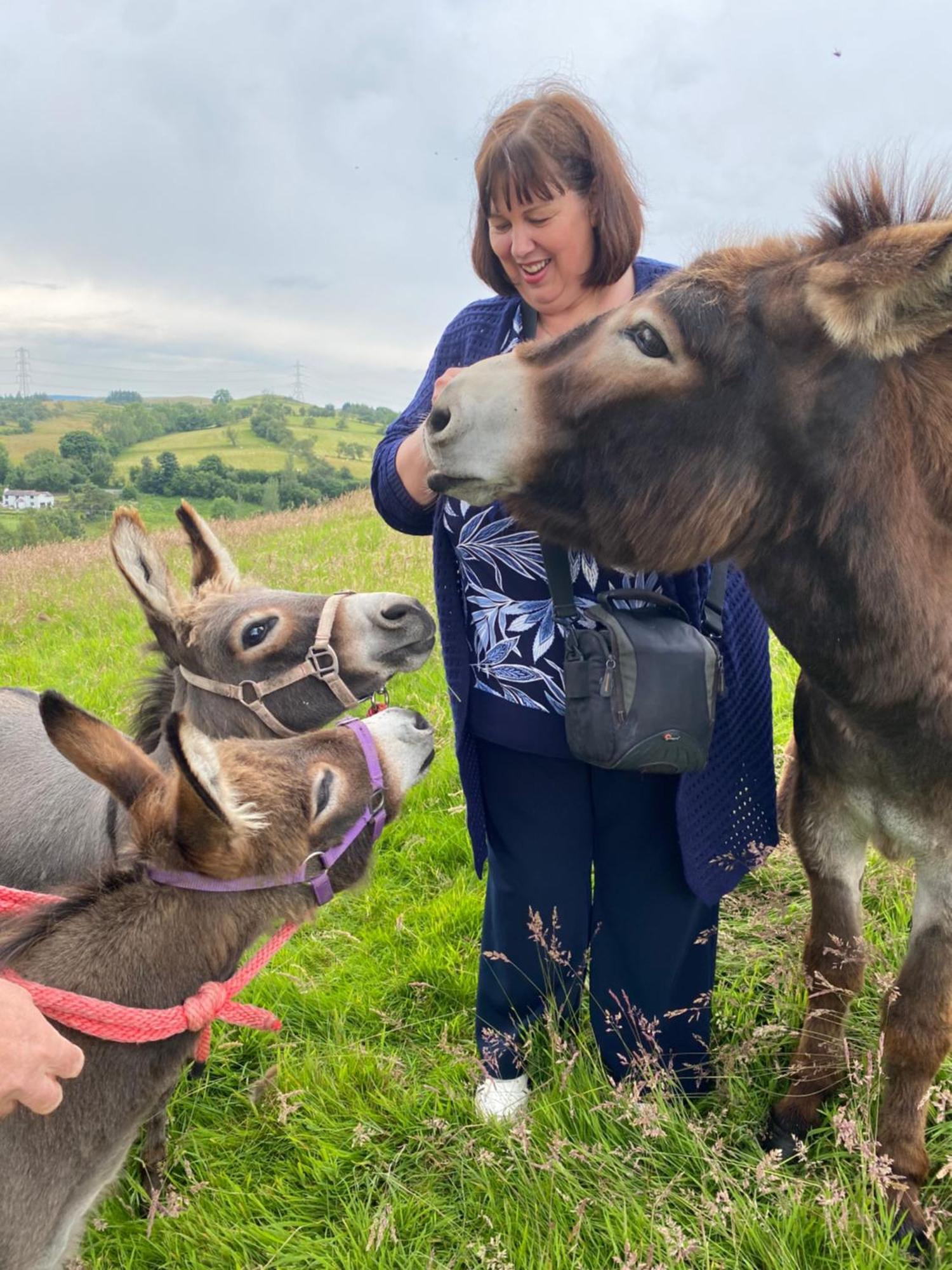 Unique Stay On An Alpaca Therapy Farm With Miniature Donkeys North Wales Mold Kültér fotó
